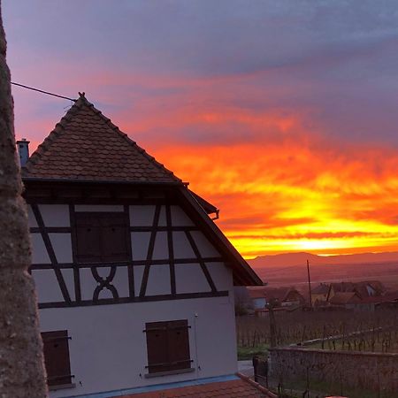 Beck Domaine Du Rempart Villa Dambach Dış mekan fotoğraf