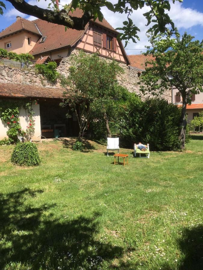 Beck Domaine Du Rempart Villa Dambach Dış mekan fotoğraf