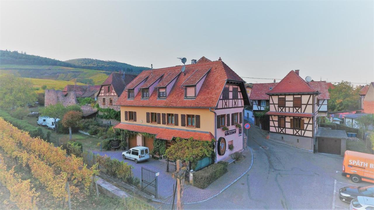 Beck Domaine Du Rempart Villa Dambach Dış mekan fotoğraf
