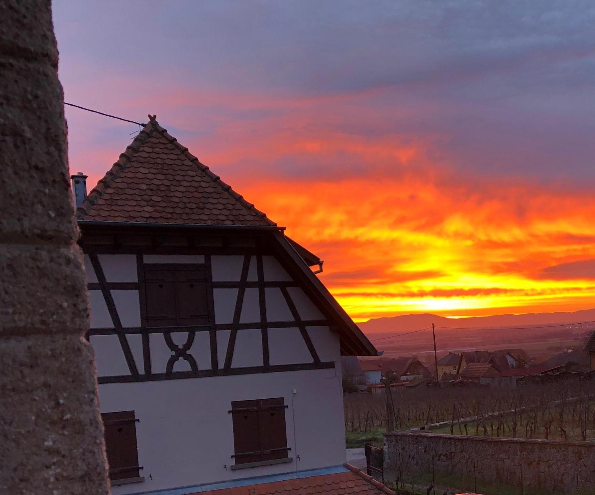 Beck Domaine Du Rempart Villa Dambach Dış mekan fotoğraf
