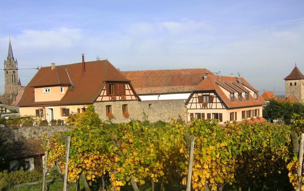 Beck Domaine Du Rempart Villa Dambach Dış mekan fotoğraf